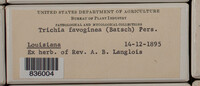 Image Associated With the Occurence